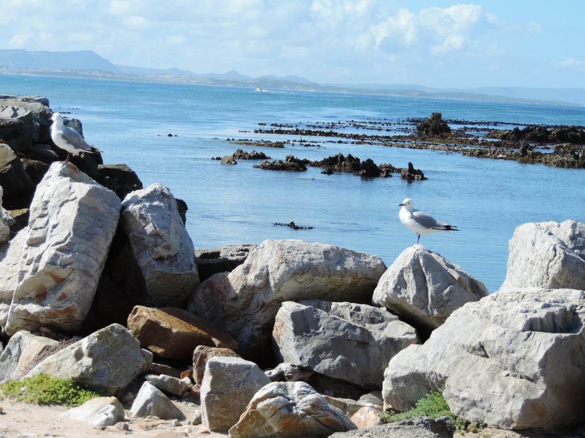 Bed and Breakfast Wave Dancer à Gansbaai Extérieur photo
